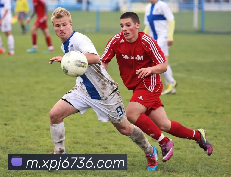 平台使命图